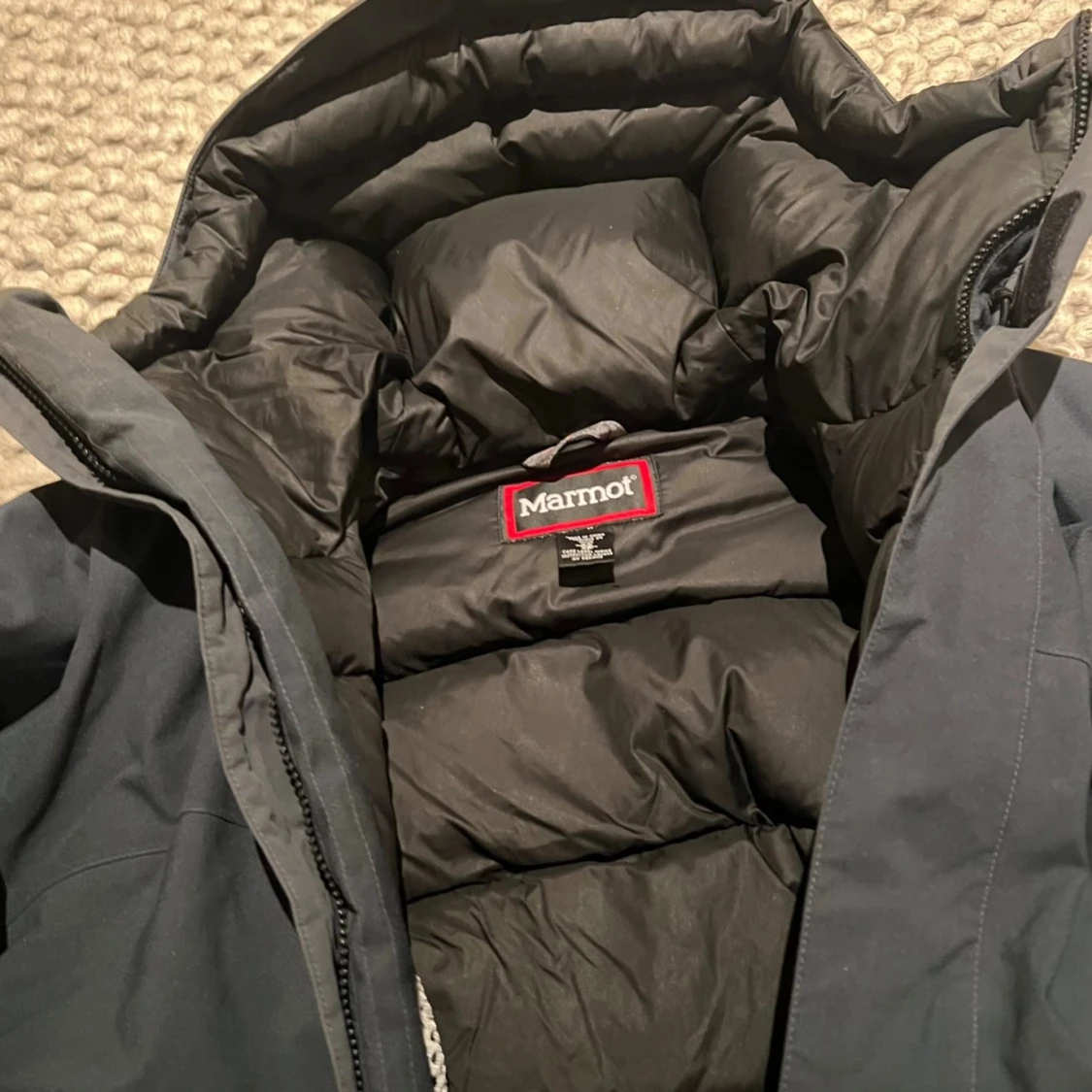 Marmot dunjacka - 91