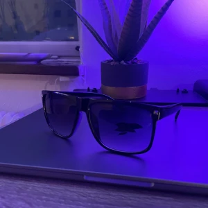 Grisch glasögon  - Tjo tjo. Vill du va grisch inför din nya skola eller nytt jobb och så vidare. Då skulle du köpt dessa glasögon som gör så att du ser ut som en riktig grichare.  Mvh Stora namn 