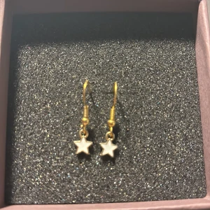 Guldörhängen med stjärnor - Säljer ett par superfina guldörhängen med små vita stjärnor. Perfekta för att ge en extra touch till din outfit, oavsett om det är till vardags eller fest. De är i nyskick och kommer i en snygg förpackning.🤍