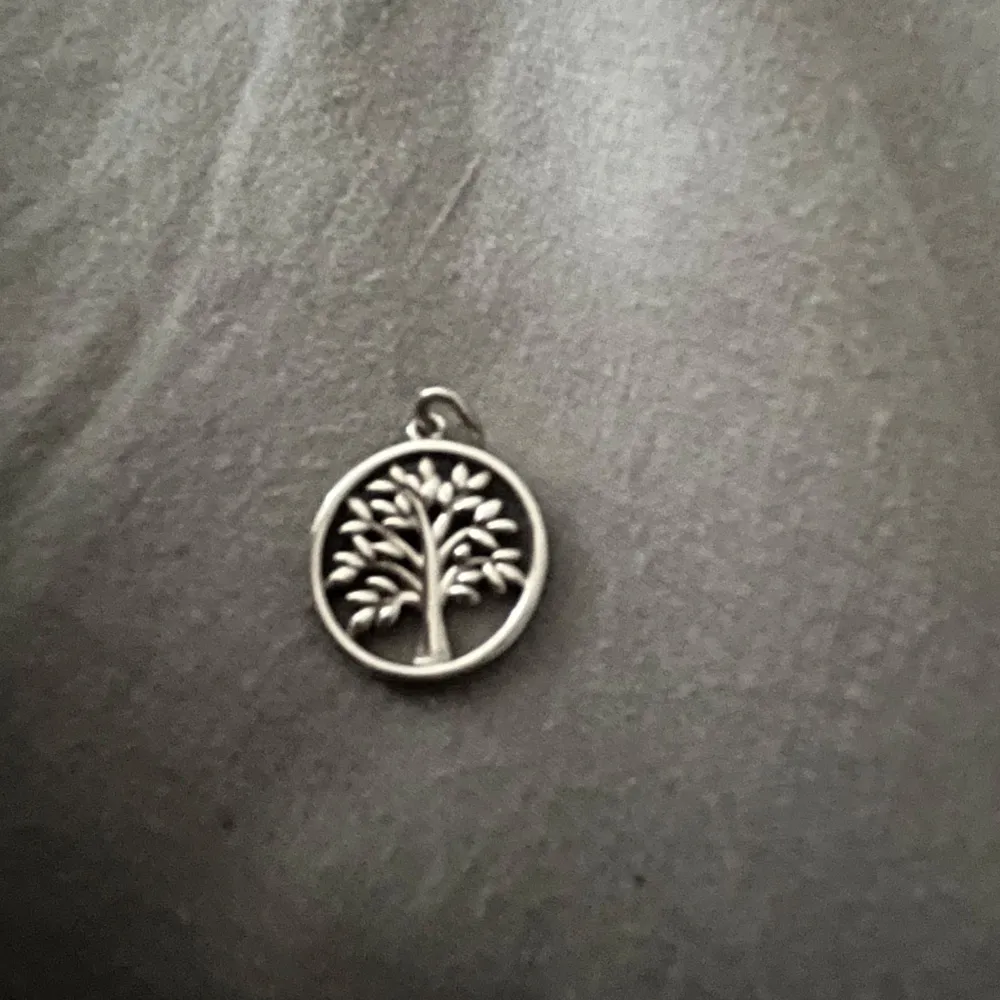 en berlock med livets träd 🌳  ifrån thomas sabo men inga diamanter eller text. aldrig använt☺️ hör av er vid frågor . Övrigt.