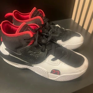 Jordan stay loyal 2 - Basket skor I mycket fin skick. 