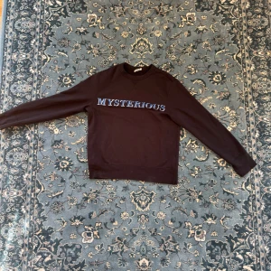 Acne AW13 tröja - Acne tröja från AW13. Bra skick förutom att necktag har lossnat lite. Annars som ny. 