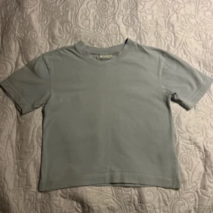 Topp/T-shirt - Ljusblå kortärmad Topp/T-shirt från Gina Tricot i st xxs.  Djur och rökfritt hem.