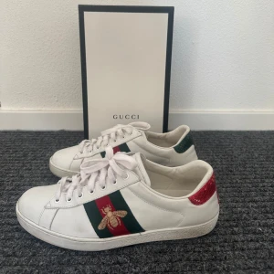 Gucci Ace skor - ett par riktigt snygga gucci ace skor i ett okej skick! box medkommer vid köp! Uk 7 = 41-41,5! hör av er vid intresse 