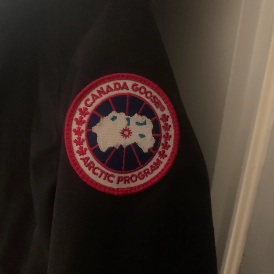Canada goose - 92