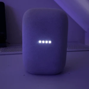 Google nest - Google home, google nest. Allt funkar som det ska orinal pris :999