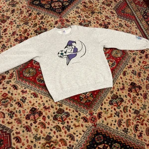 Grå sweatshirt med Delaware Wizards-tryck - Säljer en vintage grå sweatshirt. På vänstra armen står det 'Delaware Wizards Pro Soccer'. Tröjan är i bra skick