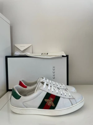 Gucci Ace Skor  - Säljer nu dessa Gucci Ace Skor i uk 9 som motsvarar 43, skriv för fler bilder/frågor🙌🏼
