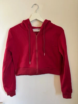 Röd cropped hoodie med tryck - Säljer en röd magkort röd hoodie med dragkedja och huva. På ryggen finns ett tryck med rosor och texten 'if this is love, I don't want it'. Hoodien har långa ärmar, ribbade muddar och dragsko i huvan. Perfekt för en chill och trendig look.