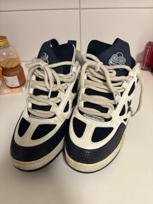 Louis Vuitton Skate mörkblå  - Säljer mina Louis Vuitton sneakers, lite använda. Skitfräscha skor, mörkblå/vit färg, kommer med låda. Skriv till om du undrar någonting 
