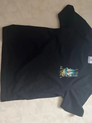 Svart Casa Blanca t-shirt med tryck - Snygg svart t-shirt från Casa Blanca med färgglatt tryck på bröstet. Klassisk passform och rund halsringning. Perfekt för dig som vill ha en stilren men ändå unik look. Går att diskutera pris
