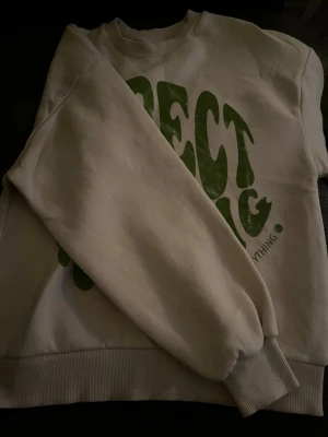 Vit sweatshirt med grön text - Säljer en vit sweatshirt med stort grönt tryck på framsidan där det står 'EXPECT NOTHING APPRECIATE EVERYTHING' i retroinspirerad font. Skriv gärna om du e intresserad 💓