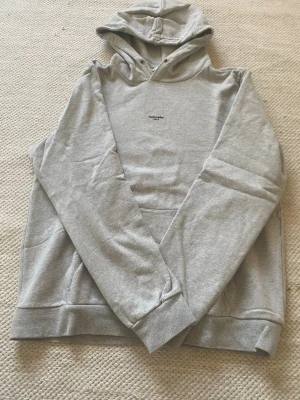 Ljusgrå hoodie (holzweiler) med huva - Säljer en stilren ljusgrå hoodie med huva och magficka. Hoodien har en minimalistisk textdetalj på bröstet och är gjord i mjukt sweatshirtmaterial. Perfekt för en avslappnad och bekväm look.