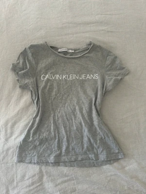 Grå t-shirt från Calvin Klein Jeans - Snygg grå t-shirt från Calvin Klein Jeans med vit logga tryckt framtill. Klassisk rund halsringning och korta ärmar. 