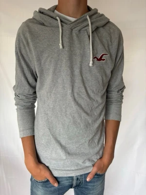 Vintage hollister tröja - En riktigt fet vintage hollister tröja! Sitter riktigt bra och har fint skick. | Skick:9/10 | modellen är 187cm lång‼️. | Stl L | Pris 599 men kan diskuteras😁☺️🤩