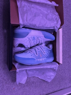 Joker 2 denver basketboll skor - Nyköpta basketskor har inte används.