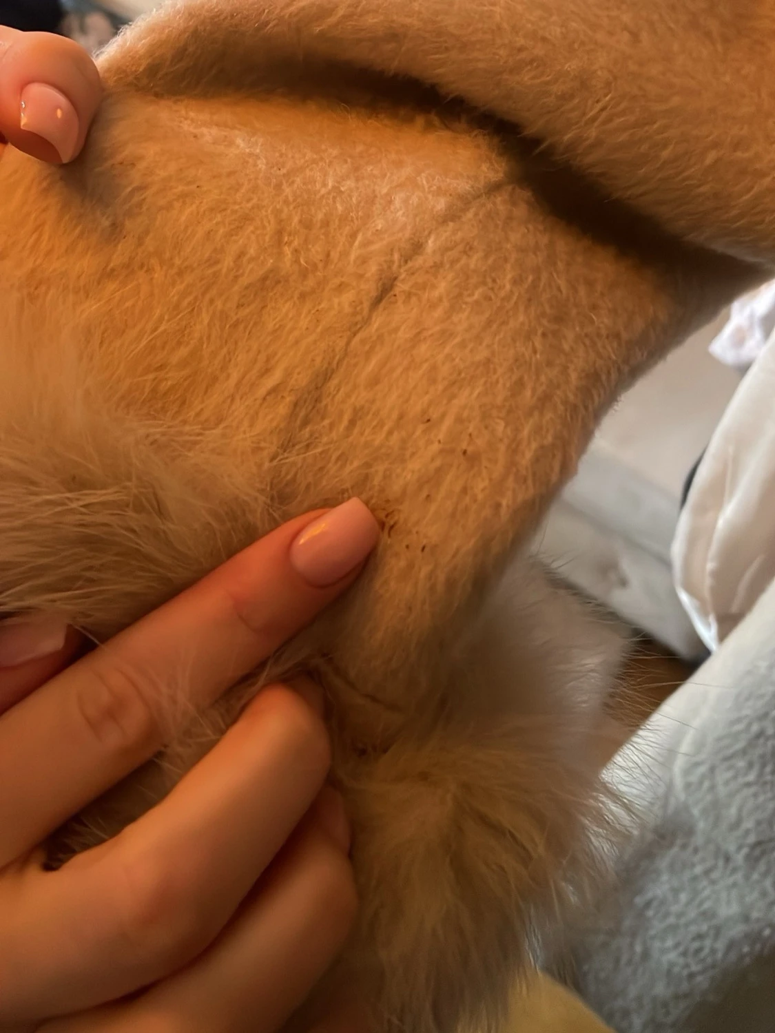 Beige kappa med äkta pälsdetaljer - 3