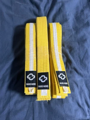 Gult bälte med vit rand Budo-Nord - Säljer ett gult bälte med vit rand från Budo-Nord, perfekt för kampsport som judo eller karate. Bältet är 320 cm långt och tillverkat i 55% bomull och 45% polyester. Klassisk design med broderad logga och slitstarkt material.
