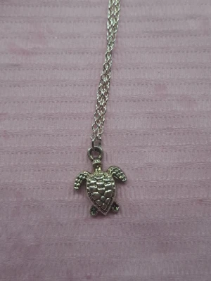 Silverfärgat halsband med sköldpadda - Säljer ett silverfärgat halsband med en detaljrik sköldpaddsberlock. Kedjan är tunn och smidig, och berlocken har tydliga mönster på skalet. Perfekt för dig som gillar djurmotiv och vill ha något unikt runt halsen.