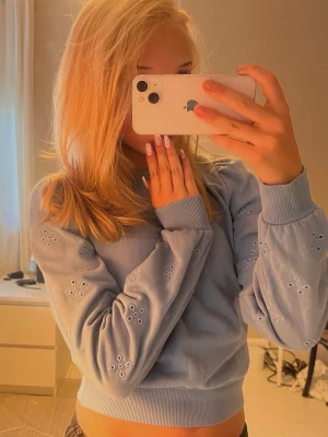 ljusblå tjocktröja m blomdetaljer - en lite croppad ljusblå sweatshirt med broderade blommor som hål på ärmarna. 🩵