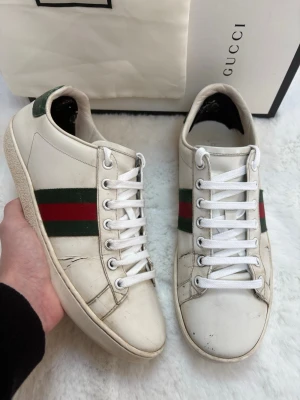 INTRESSEKOLL! Gucci ace | Strlk 38 1/2 - Gucci ace skor -  storlek: 38 1/2 men passar 1 1/2 strlk större! -  skick: okej! - Tillbehör: allt OG! - v.collection