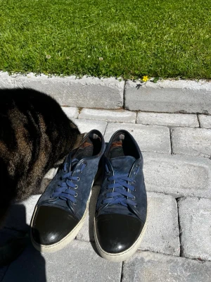 Mörkblå sneakers från Lanvin - Snygga mörkblå sneakers från Lanvin. Skorna har blå skosnören och metallfärgade öljetter. Ovandelen verkar vara i mocka eller canvas och tån är i blankt material. Perfekta för en avslappnad streetstil. Storlek 43 till och med katten diggar dem