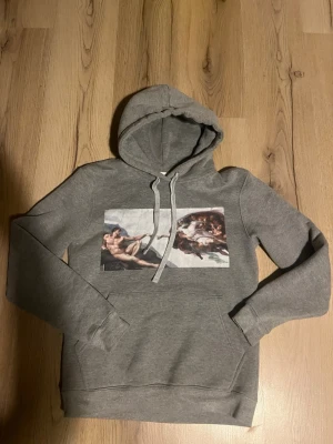 Grå hoodie med konsttryck - Snygg grå hoodie med tryck av Michelangelos 'Skapelsen av Adam' på bröstet. Klassisk modell med huva och dragsnören samt magficka framtill. Perfekt för dig som gillar streetwear och konstinspirerade plagg.