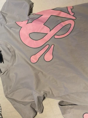 Grå set från syna Wrld - Snygg grå sett från syna wrld med ett stort rosa tryck framtill. Klassisk rund hals och korta ärmar. Perfekt för dig som gillar streetwear och vill sticka ut med en unik design.