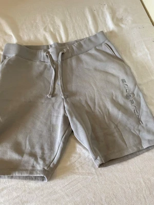 Gråa shorts från Sail Racing - Säljer ett par gråa shorts från Sail Racing med broderad logga på benet. De har snörning i midjan och två sidofickor. Perfekta för chill dagar och har en clean look som passar till det mesta.