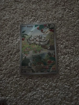 Pokémonkort Starly & Mega Venusaur EX - Två samlarkort från Pokémon: ett Starly-kort med färgglad illustration av flera Starly-fåglar bland bär och ett Mega Venusaur EX-kort med en kraftfull Venusaur i grönt och blått med stora blad och blommor. Båda korten är i plastfickor och har detaljerad grafik.
