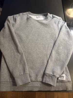 Grå crewneck från Andy - En stilren grå tjock tröja från Andy. Några frågor bara höra av sig.