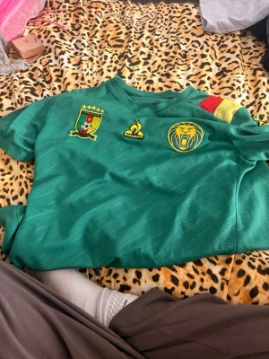 Grön Kamerun fotbollströja - Säljer en grön fotbollströja från Kameruns landslag med gula och röda detaljer på axeln. Tröjan har broderade märken på bröstet, inklusive ett lejon och landslagets emblem. Tillverkad i lätt och ventilerande material, perfekt för träning eller match.