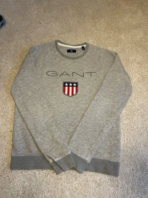 Grå gant tröja - Kontakta mig vid minsta lilla, lägg gärna prisförslag 