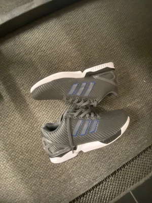 Grå Adidas sneakers med blå ränder - Snygga grå sneakers från Adidas med klassiska blå ränder på sidan och vit sula. Skorna har en sportig design med meshmaterial för bra ventilation och komfort. Perfekta för dig som vill ha stilrena och bekväma sneakers till vardags.