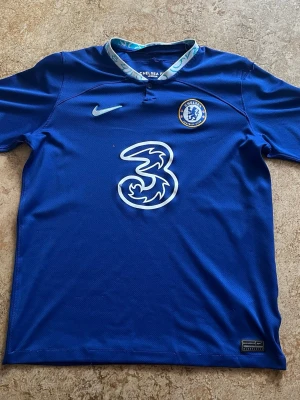 Chelsea FC matchtröja  - Chelsea FC matchtröja riktig stiligt nu till sommaren den är från Nike och är rikigt sponsor märket har ett litet märke kan skicka bild i DM annars inga andra problem ⚽️.                       PRISET ÄR FAST PÅ DENNA PRODUK‼️