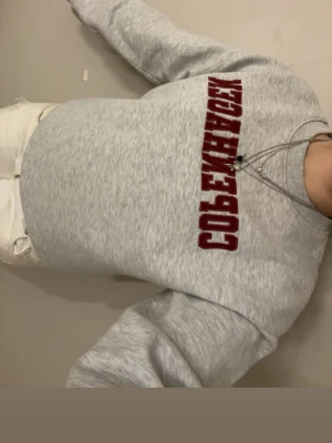 Hoddie text - Kommer inte till användning❤️