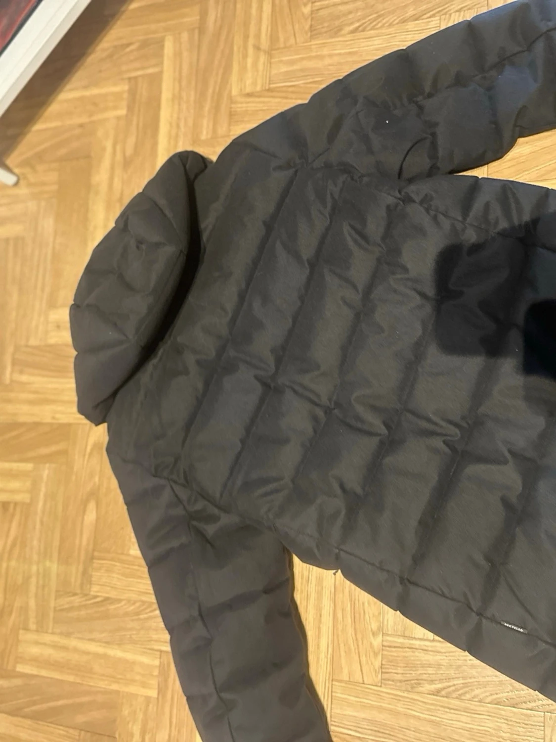 save the duck dun jacka - 2