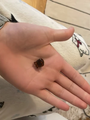 Hårklämma med renmotiv - Söt liten hårklämma i form av en brun ren med vita horn och röda detaljer. Perfekt accessoar för att piffa upp frisyren, särskilt under vintern eller till jul. Klämman är gjord av plast och har ett lekfullt utseende.