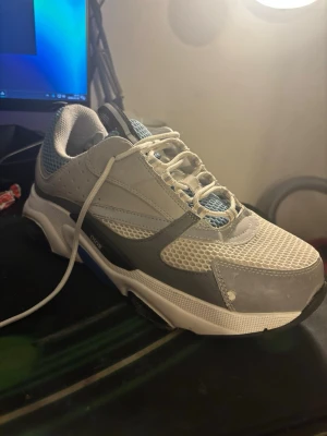 Gråvita Dior sneakers med meshdetaljer - Säljer ett par snygga Dior sneakers i grått och vitt med blå detaljer. Skorna är i bra skick och matchar med allt .