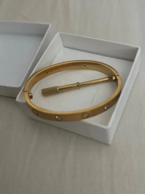 Carti armband  - Armbandet kommer med ett tillhörande verktyg för öppning.