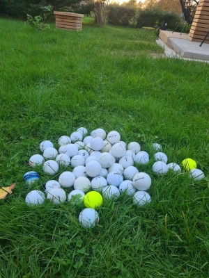 Golfbollar blandade - Säljer ca 60 st golfbollar i olika märken och färger, mestadels vita men även några gula och en blå. Perfekt för dig som vill fylla på golfväskan eller träna på rangen. Bollarna är av hård plast och har klassisk dimple-yta. Perfekt inför golfsäsongen som snart drar igång. Kom med prisförslag. Jag är öppen för all frågor, tveka inte.
