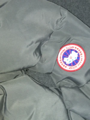 Grå dunjacka från Canada Goose - Säljer en grå dunjacka från Canada Goose med det klassiska runda logotypmärket på ärmen. Jackan har en puffig design och är tillverkad i slitstarkt material med dunfyllning som håller dig varm under kalla dagar.