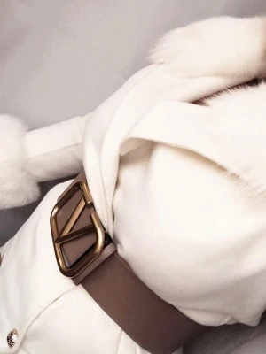 Valentino Garavani beige skärp - Stilrent beige skärp från Valentino Garavani med stor guldfärgad V-logga som spänne. Bältet är tillverkat i skinn och levereras i originalask.