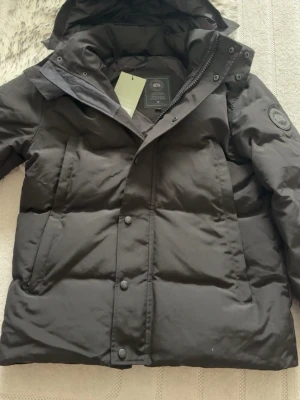 Canada goose  - Helt ny canada goose i storlek M! Hör av er vid några frågor. Allt kommer med jackan, pälsen och påsen