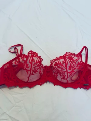 Rosa/röd spets-bh från Ella M 75B - Snygg bh från Ella M med transparent mesh och vackra broderade spetsdetaljer. Bh:n har bygel, tunna axelband och dekorativt mönster över kuporna. Perfekt för dig som vill ha något extra fint under kläderna. Aldrig använd! 