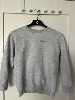 Grå sweatshirt från Bvaldi - Snygg grå sweatshirt från Bvaldi med blå logga på bröstet och stort tryck på ryggen med texten 'Monte Carlo' och schackmotiv. Tröjan har rund hals, långa ärmar och ribbade muddar. Perfekt för en avslappnad och trendig look.