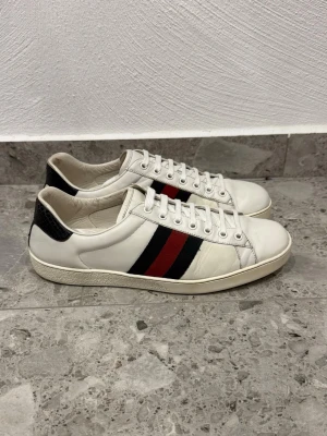 Gucci Ace  - Gucci Ace || Storlek EU 44 UK 10 || Skorna är i skick (se bilder) || Tveka inte på att höra av dig vid frågor eller funderingar 