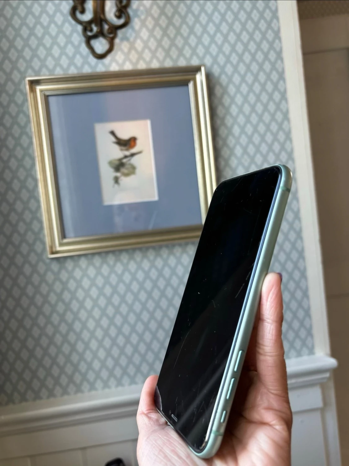 Grön iPhone 11 med dubbla kameror - 5