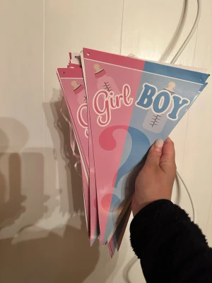 Girl or Boy vimpel till baby shower girlang väggdekoration - Säljer en bunt vimplar med texten 'Girl' och 'Boy' i rosa och blått, perfekta för gender reveal eller baby shower. Vimplarna är gjorda av papper och har band för upphängning. Designen har nappmotiv och frågetecken.