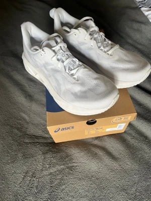 Asics Novablast 5 - Löparskor från Asics | Storlek 45 | Box ingår | Använda 6km | Nypris 1799 |